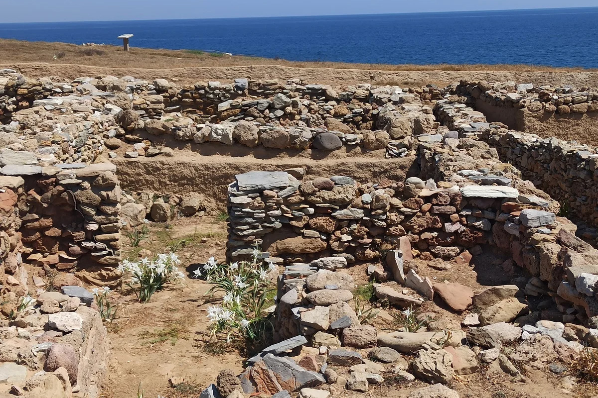 skyros palamari2
